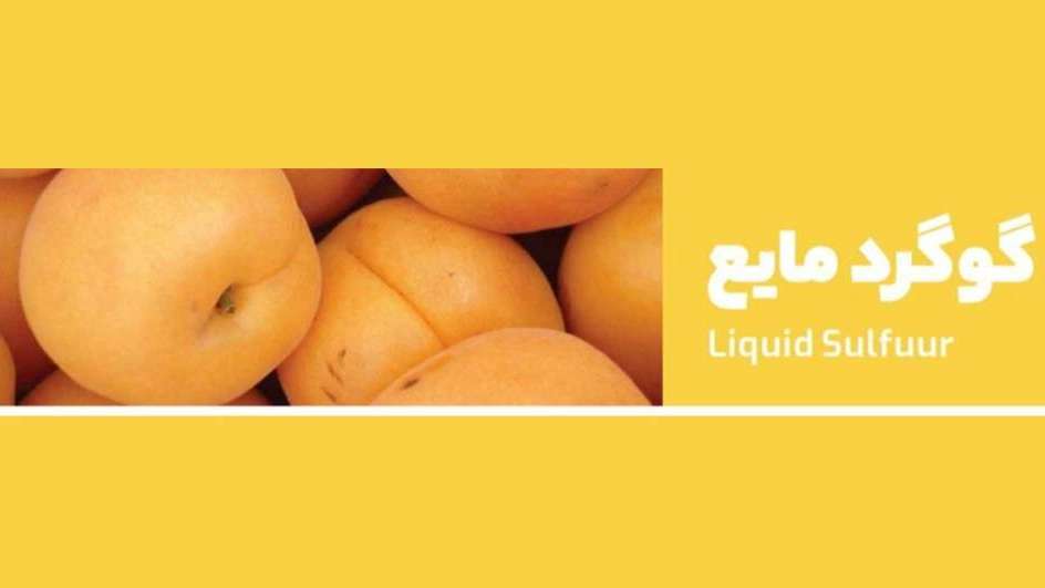 مجموعه کشاورزی راویس