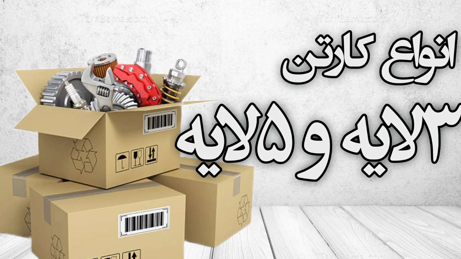 کارتن سازی فیدار آراد فرهمند