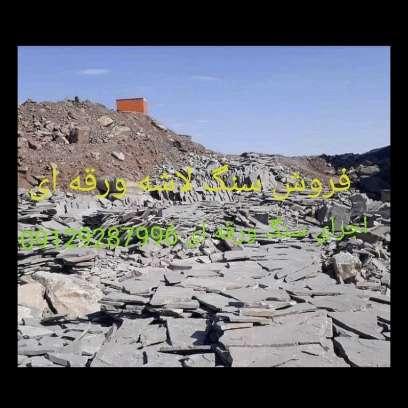 1696923731337.webp