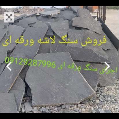 1696923761600.webp