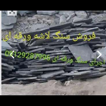 1696923779673.webp