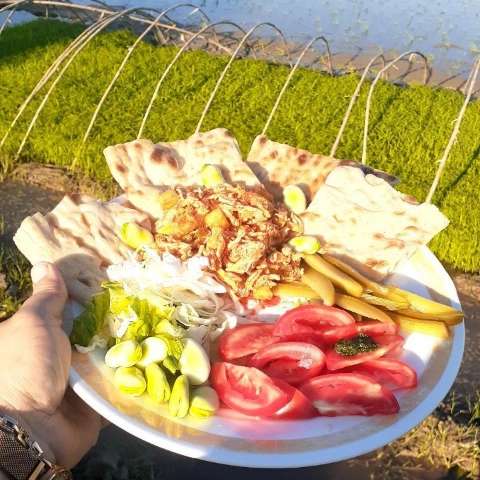 1697264507050.webp