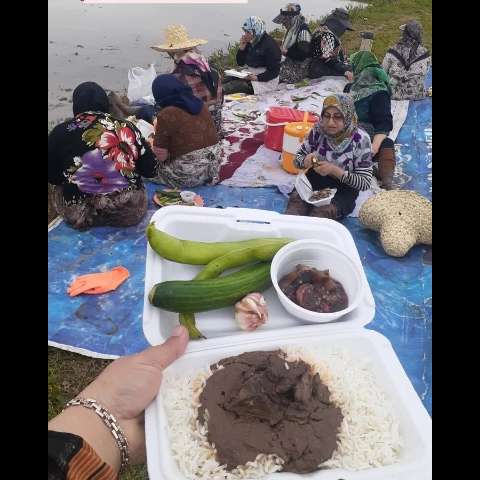 1697264534480.webp