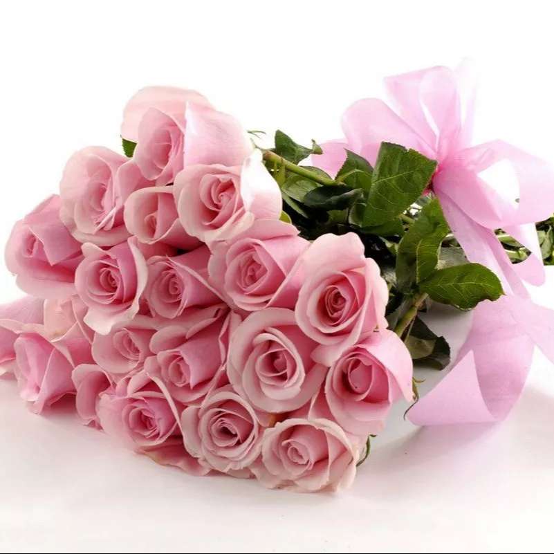 1697347569761.webp