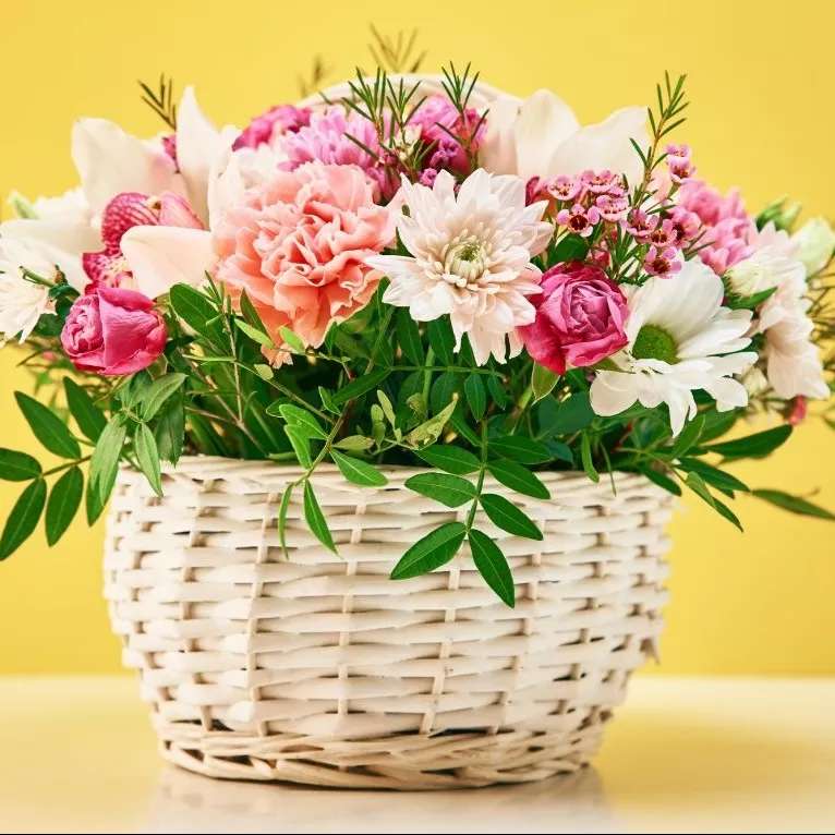 1697347761346.webp