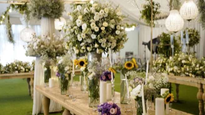 باغ تالار آسو