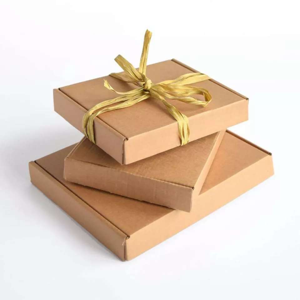 1697535808631.webp