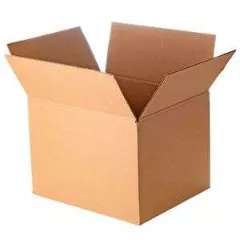 1697535833615.webp