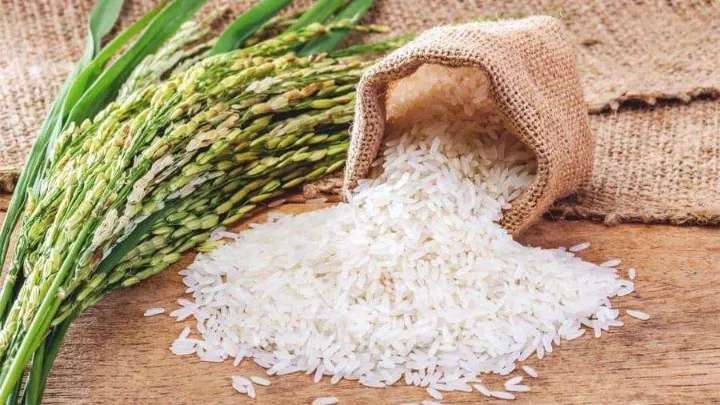 برنج کوبی قائم