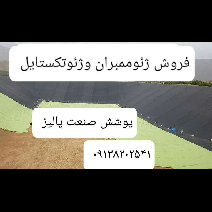 1698061801147.webp
