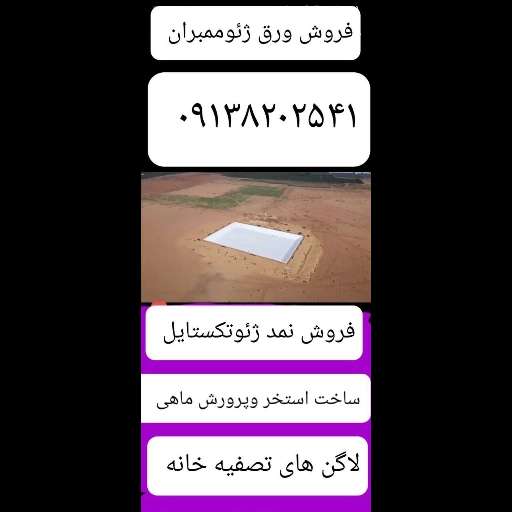 1698061843099.webp