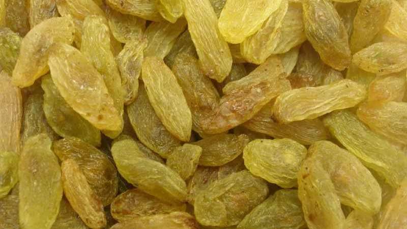 فروش عمده کشمش مجموعه یادگاری