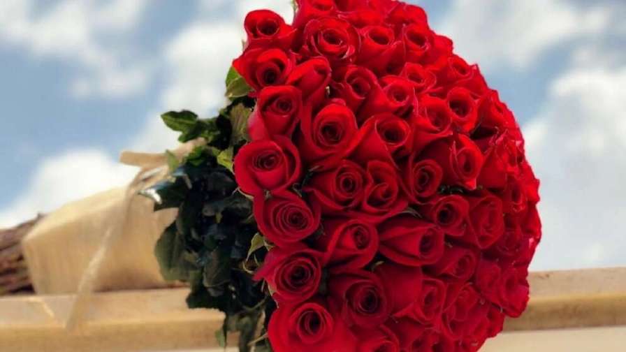 گل فروشی احسان کلاسیک