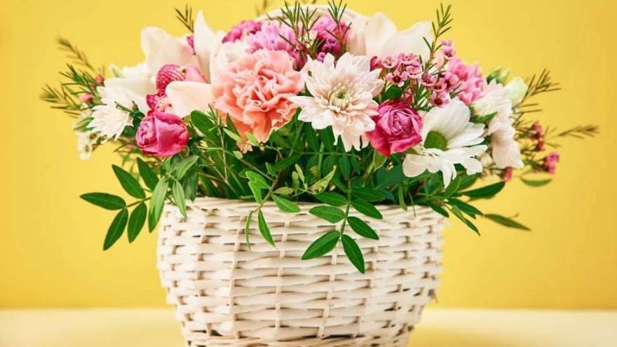 گل فروشی احسان کلاسیک
