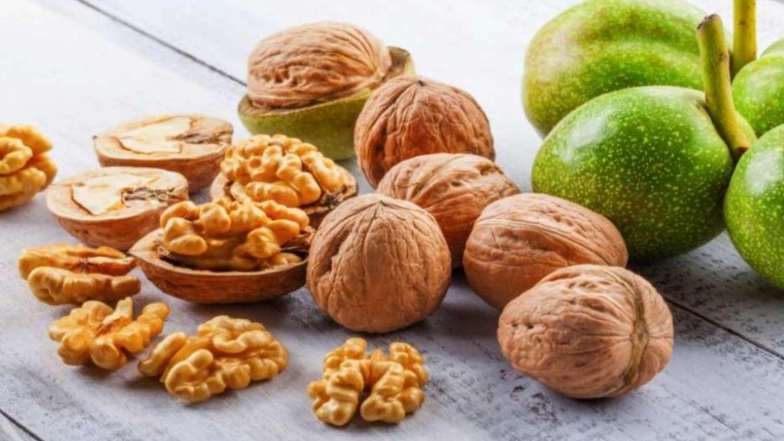 گردو چندلر اقلیم پارسیان