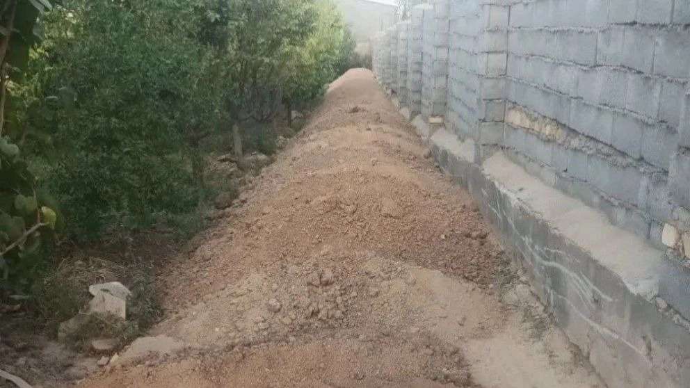 محوطه سازی فرهی