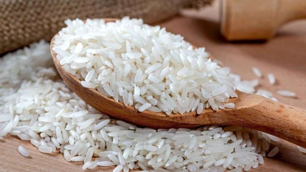 بازرگانی برنج اکبریان