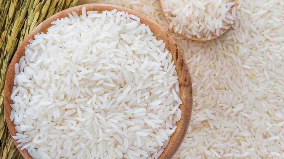 برنج فروشی شالیزار