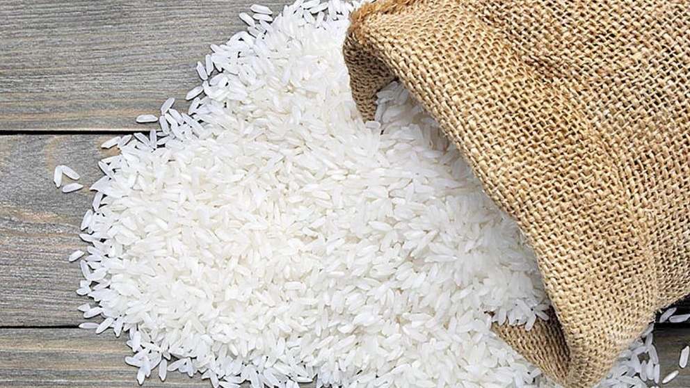 برنج فروشی شالیزار