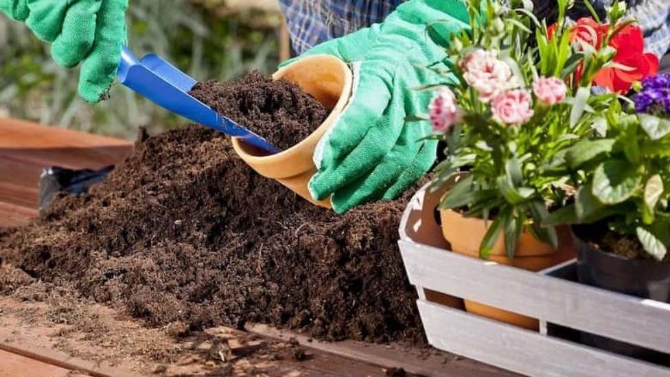 تولید خاک گلدانی سلطانی