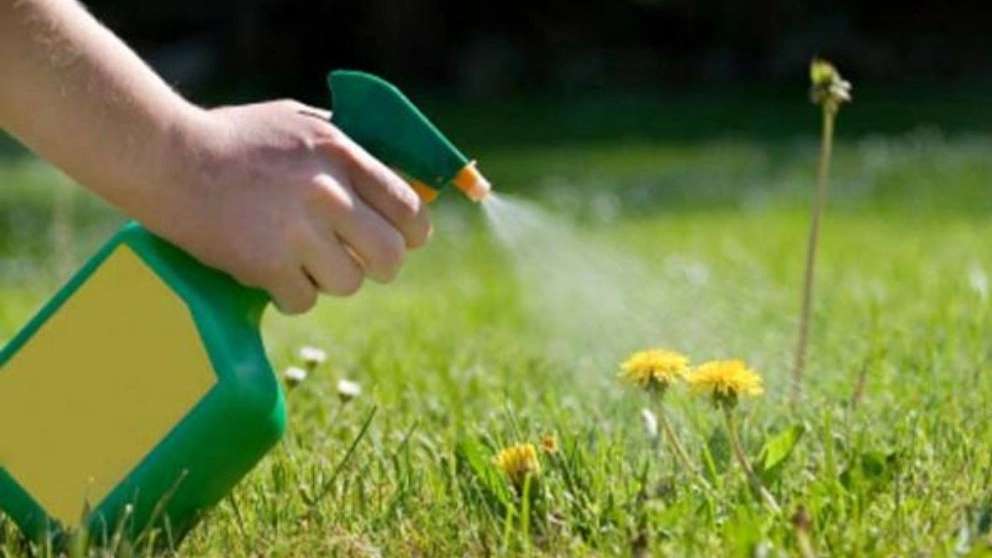 فروشگاه کشاورزی دشت سبز بقایی