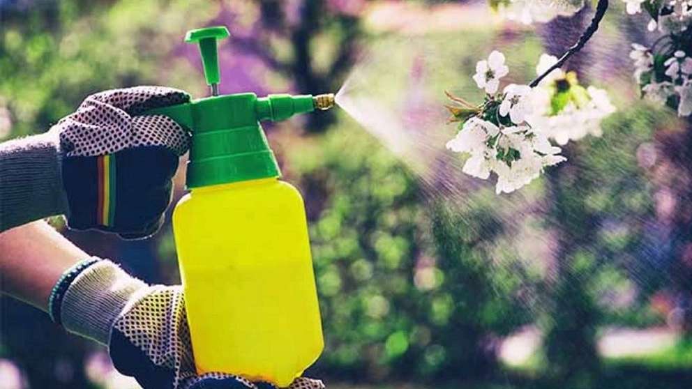 فروشگاه کشاورزی دشت سبز بقایی