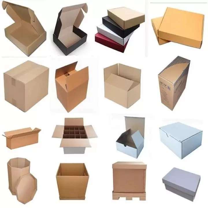 1698649161687.webp