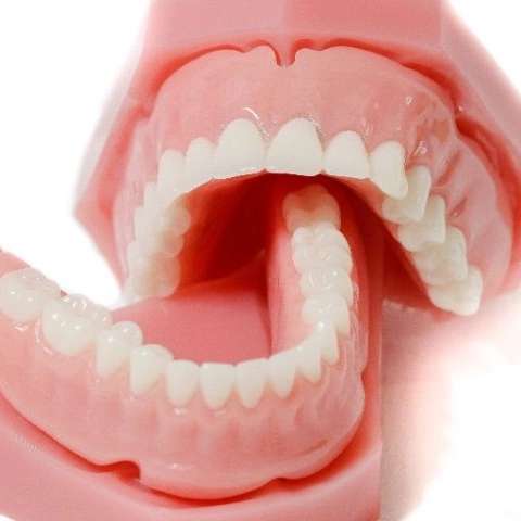 1698652633662.webp