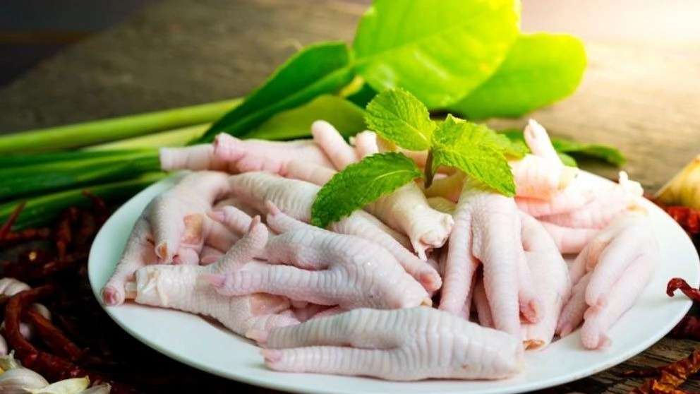 پای مرغ حیدری