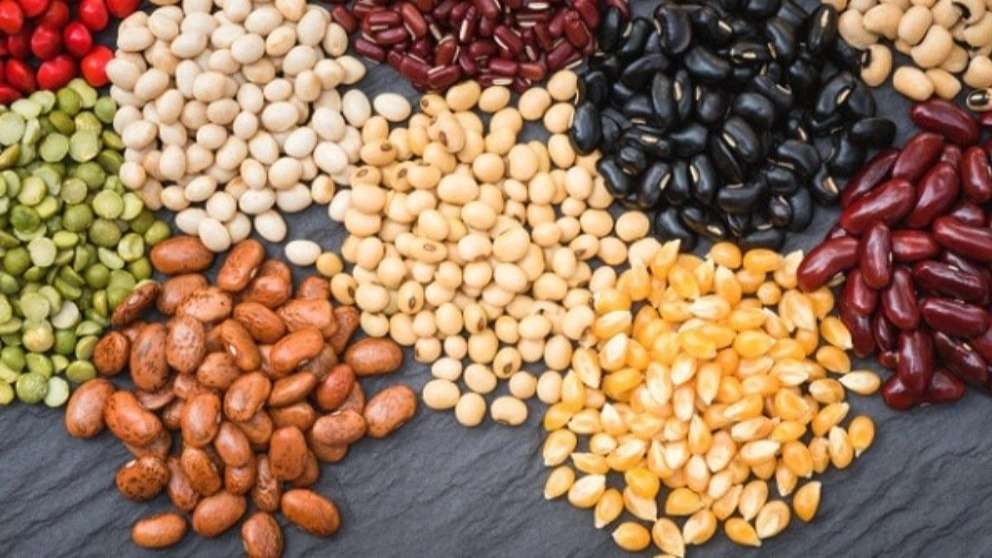 حبوبات بسته بندی شده زمانی