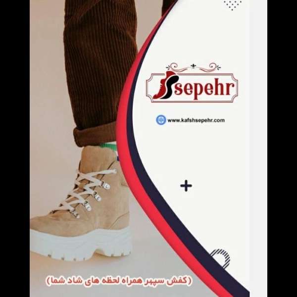 1699264441046.webp