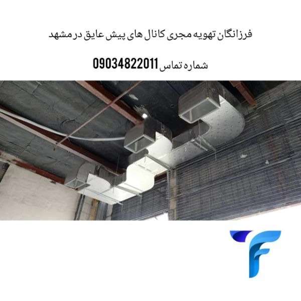 1699336179751.webp