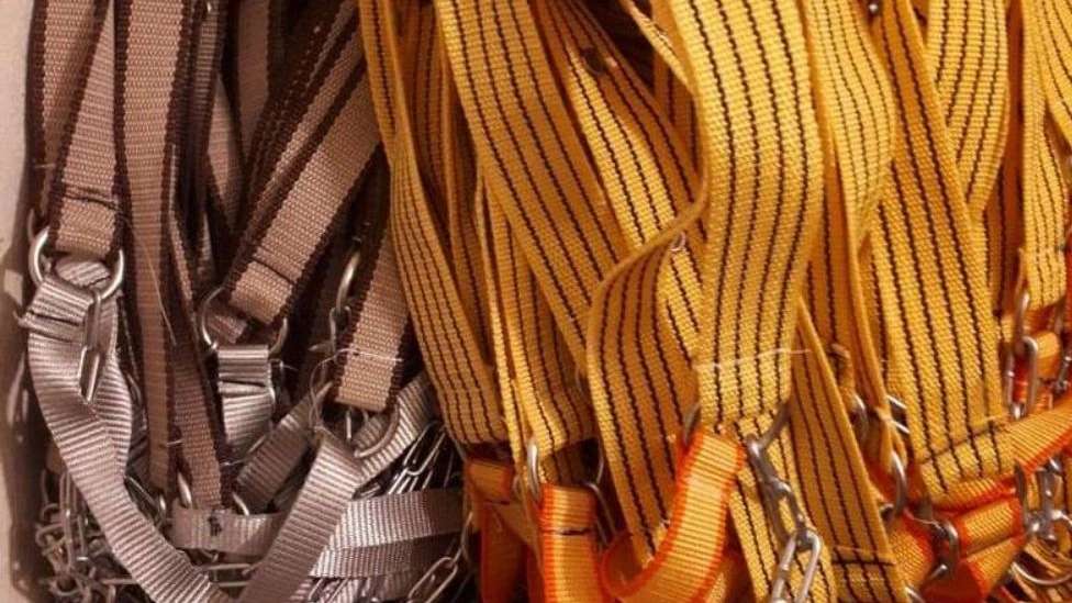 تولیدی قلاده و افسار قربان پور