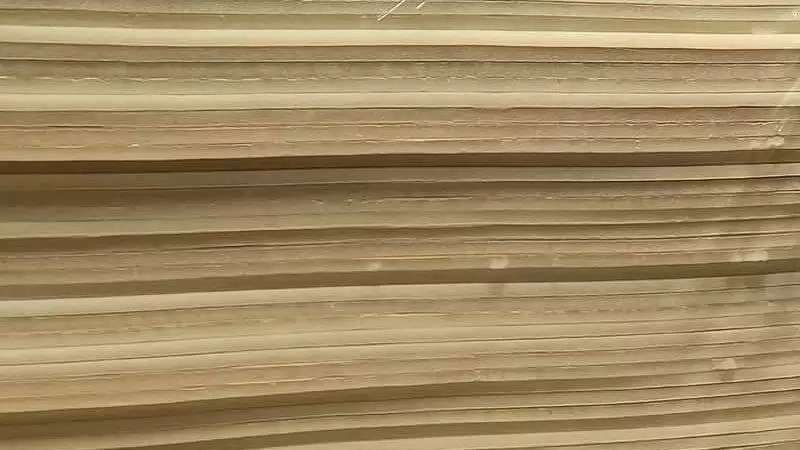 پلی فوم و اسفنج پشت چسبدار