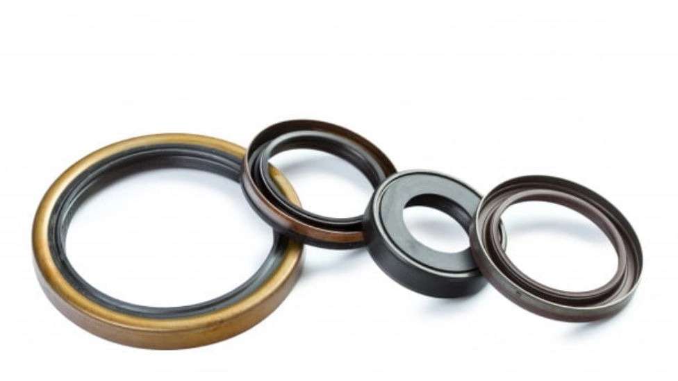 کاسه نمد و جلوبندی آقای گلچین