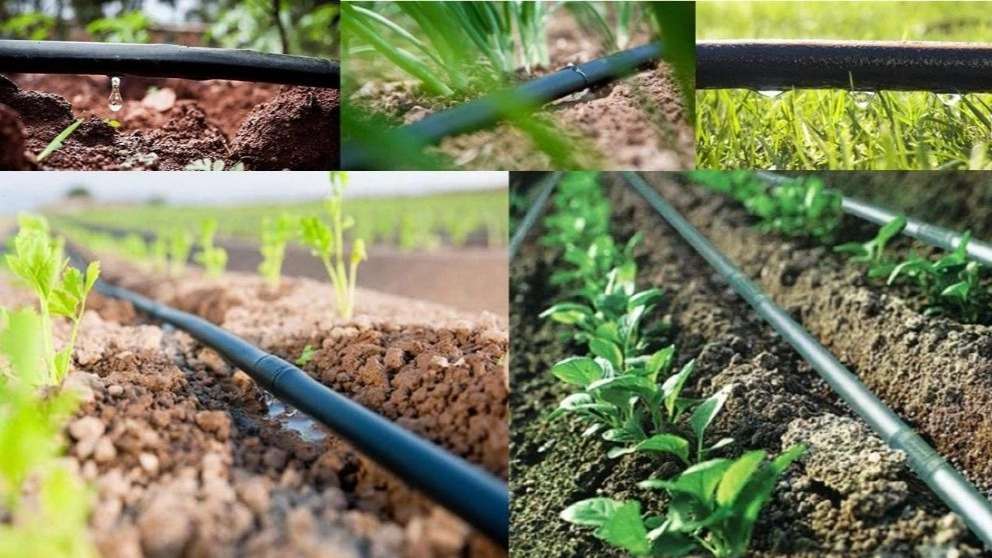 نمایندگی رسمی پلی ران زارع