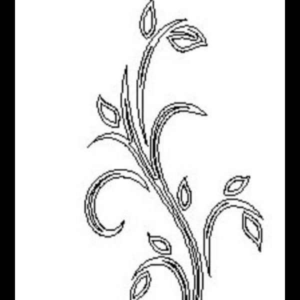 1699420339582.webp
