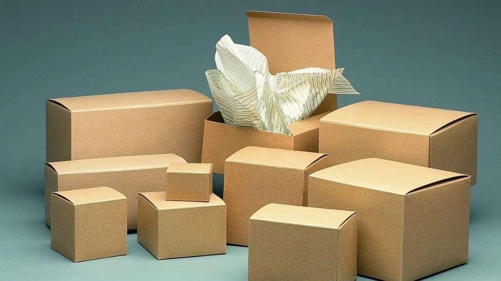 مقوا و جعبه بهداشتی حقی