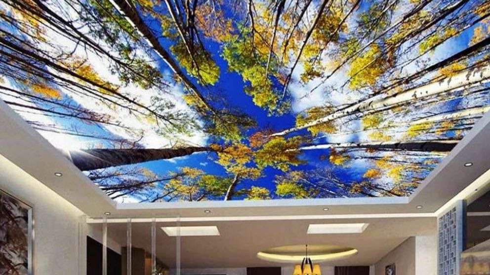 کناف و آسمان مجازی کناف رامسر