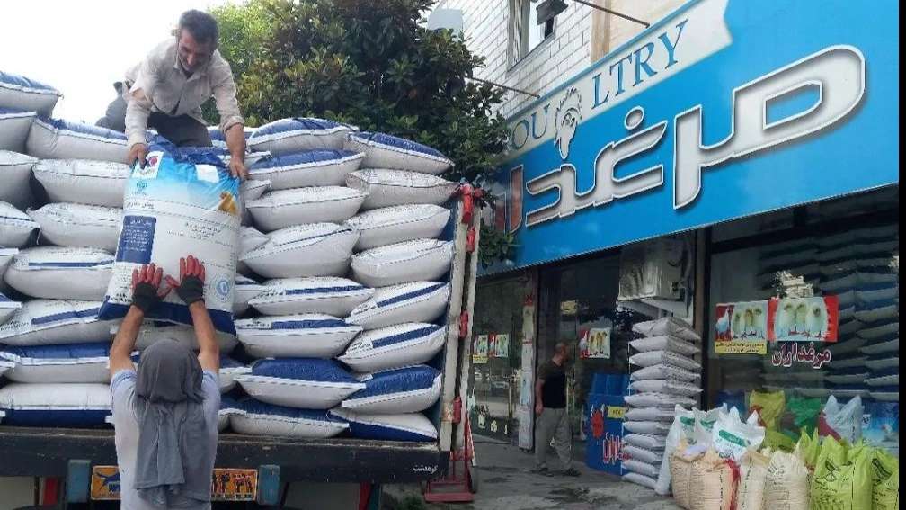 دام و طیور مرغداران