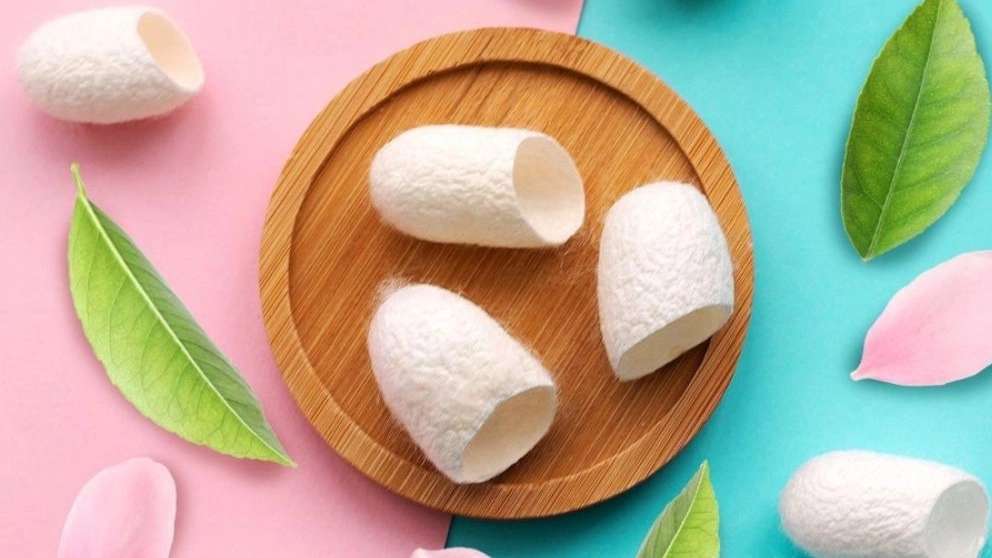 پیله ابریشم طبیعی و ارگانیک