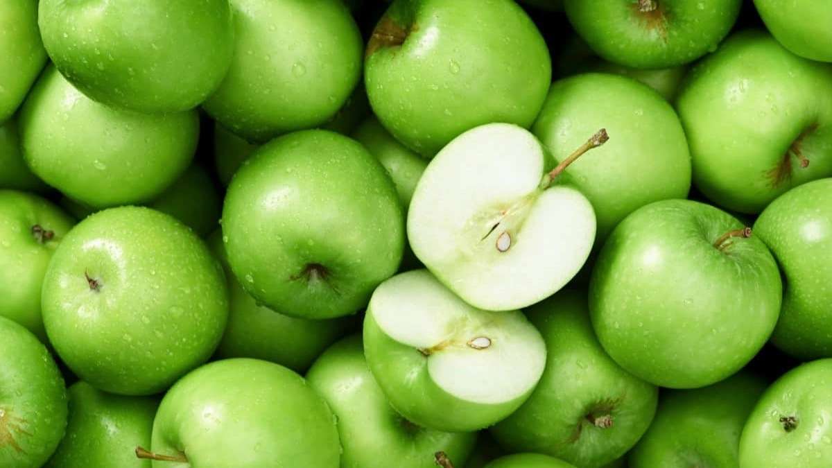 انواع سیب درختی محمدی