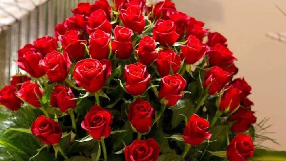 فروش انواع گل و گیاه