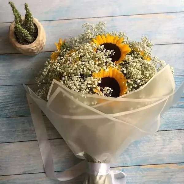 1699686110417.webp