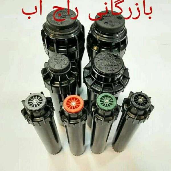 1699870507363.webp