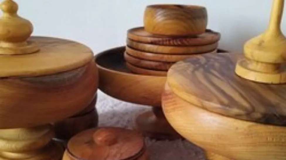 دنیای چوب ژیوان