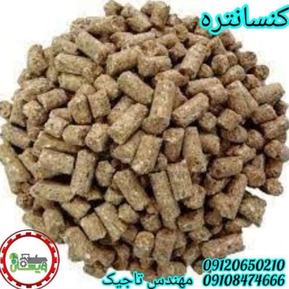 1700406212743.webp