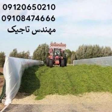 1700406349828.webp