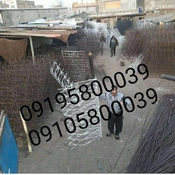 1700554070807.webp