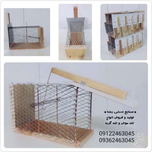 1700555923733.webp